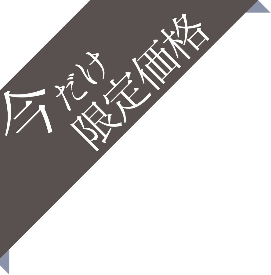 限定価格バナー